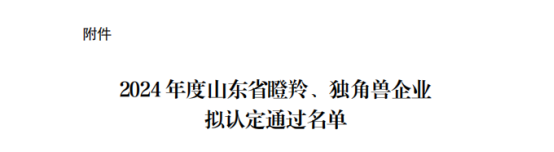 喜报丨济南中安数码科技有限公司荣获“2024年度山东省瞪羚企业”629.png